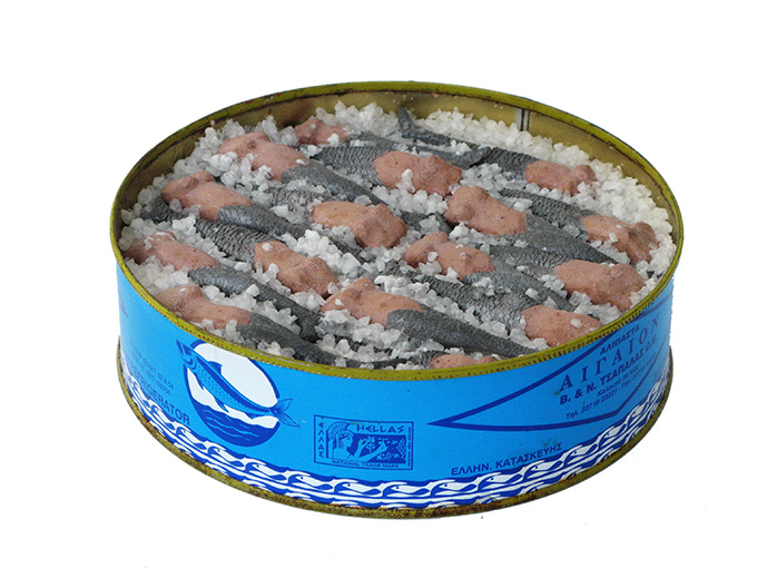 GORGONES-PASTES-1